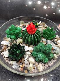 Composizione di cactus in gesso 