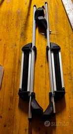 Portapacchi e portasci