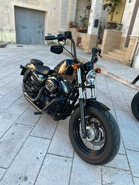 Harley Davidson sportster forty eight 1200