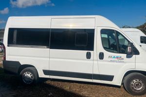 Minivan 9 posti