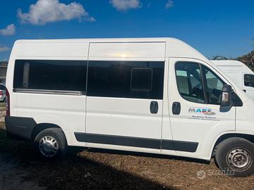 Minivan 9 posti