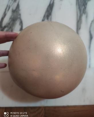 Palla ginnastica Ritmica Pastorelli glitterata