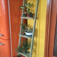 Supporto per giardino pensile/verticale
