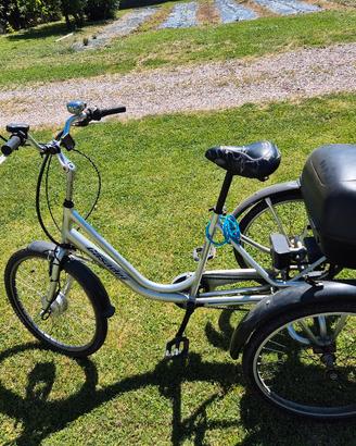 Bicicletta Triciclo pedalata assistita 