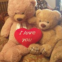 peluche : orsetti e cuore  