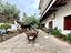 Immagine 27