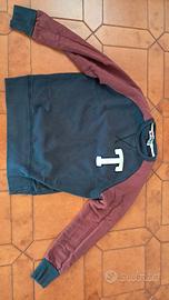 Felpa/sweatshirt Terraces Dog's Bollocks ultras
