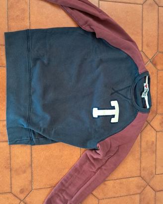Felpa/sweatshirt Terraces Dog's Bollocks ultras