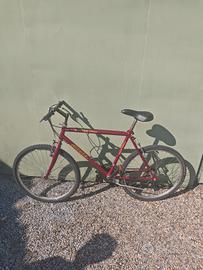 Atala flyers 2620