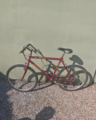 Atala flyers 2620