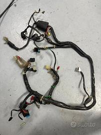 Impianto elettrico honda zoomer 50
