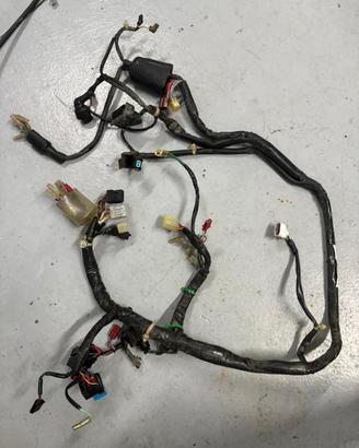 Impianto elettrico honda zoomer 50