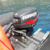 Evinrude HO 40 del 2018