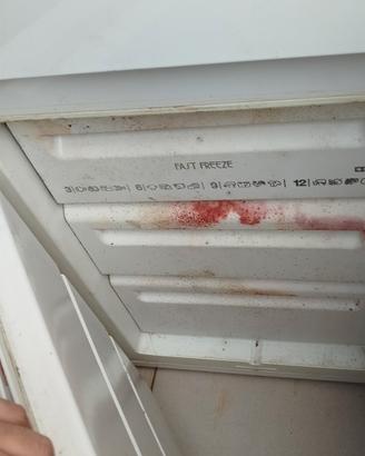 Frigo funzionante 