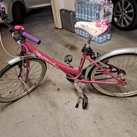 Bicicletta silver star 24