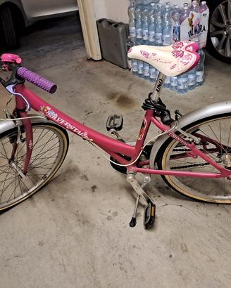 Bicicletta silver star 24