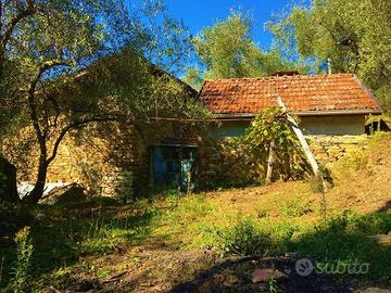 Terreno di 5000 m² a Apricale