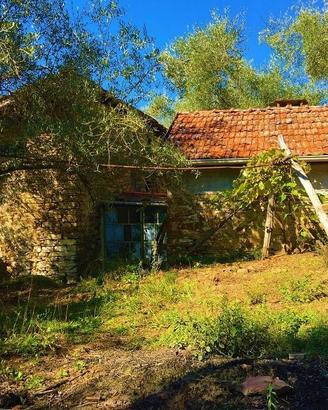 Terreno di 5000 m² a Apricale