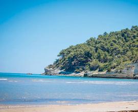 Gargano casa al mare (dispon. settembre)
