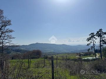 CASA INDIPENDENTE A VAGLIA