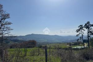 CASA INDIPENDENTE A VAGLIA