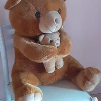 Orso in peluche