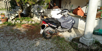 Stupendo Garelli T Rex 150