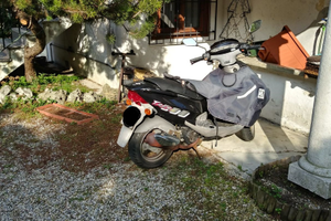 Stupendo Garelli T Rex 150