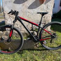 Mtb Focus whystler taglia M