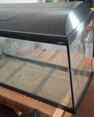 acquario zolux 80 litri