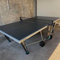 Tavolo ping pong