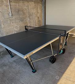 Tavolo ping pong
