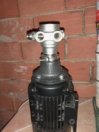 Motore elettrico