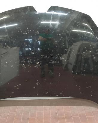 Cofano anteriore Renault Megane 3a Serie (2013 - 2