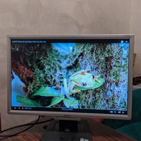 Monitor LCD Acer AL2216W