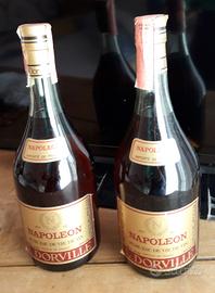 due vecchie bottiglie cognac