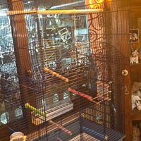 gabbia grandi dimensioni 