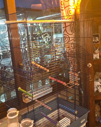 gabbia grandi dimensioni 