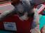 Immagine 2