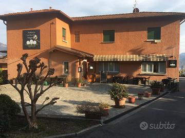 Attivita di ristorante