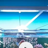 GNC Blu-ray lampade acquario led 