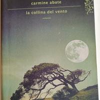 "La collina del vento" C. Abate 