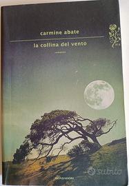 "La collina del vento" C. Abate 