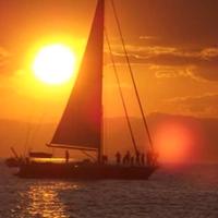 vela randa avvolgibile nuova