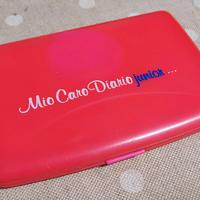 Mio Caro Diario Junior GIG anni 90