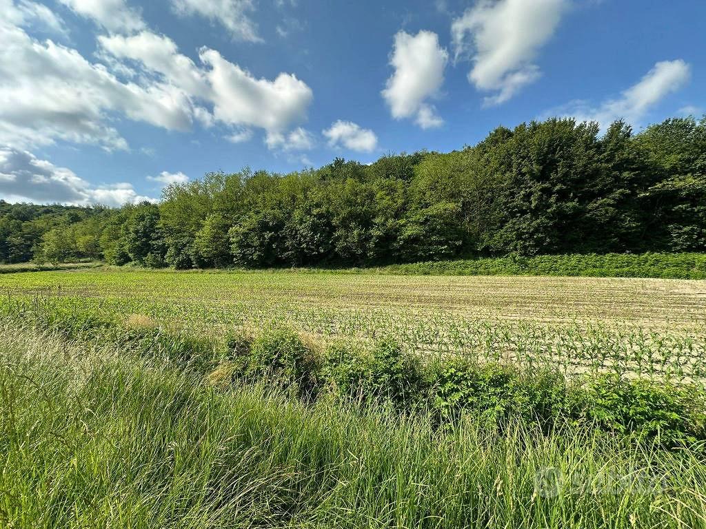 Terreno di 3845 m² a Sirone - Vista 4