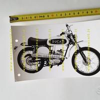 Ducati 50 Scrambler 1970 foto cartella stampa