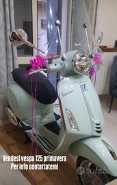  vespa 125 primavera 