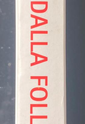 Dennis Lehane - Fuga dalla follia