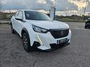peugeot-2008-bluehdi-110-s-s-active-pack